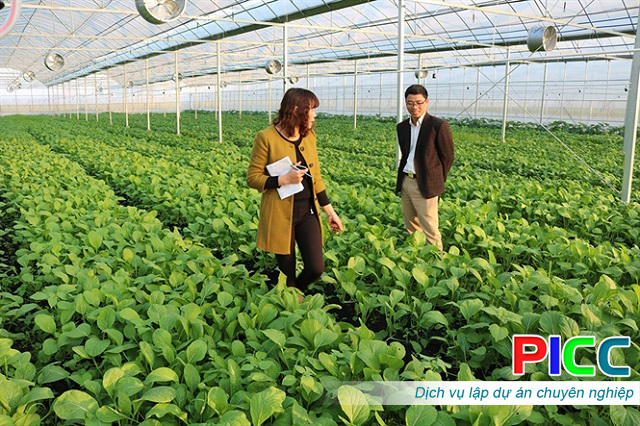 Dự án đầu tư Sản xuất nông nghiệp công nghệ cao – Đắk Nông