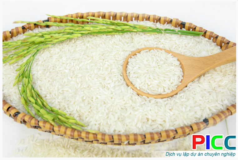 Dự án đầu tư chuỗi giá trị gia tăng sản phẩm từ lúa gạo
